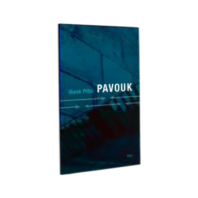 Pavouk